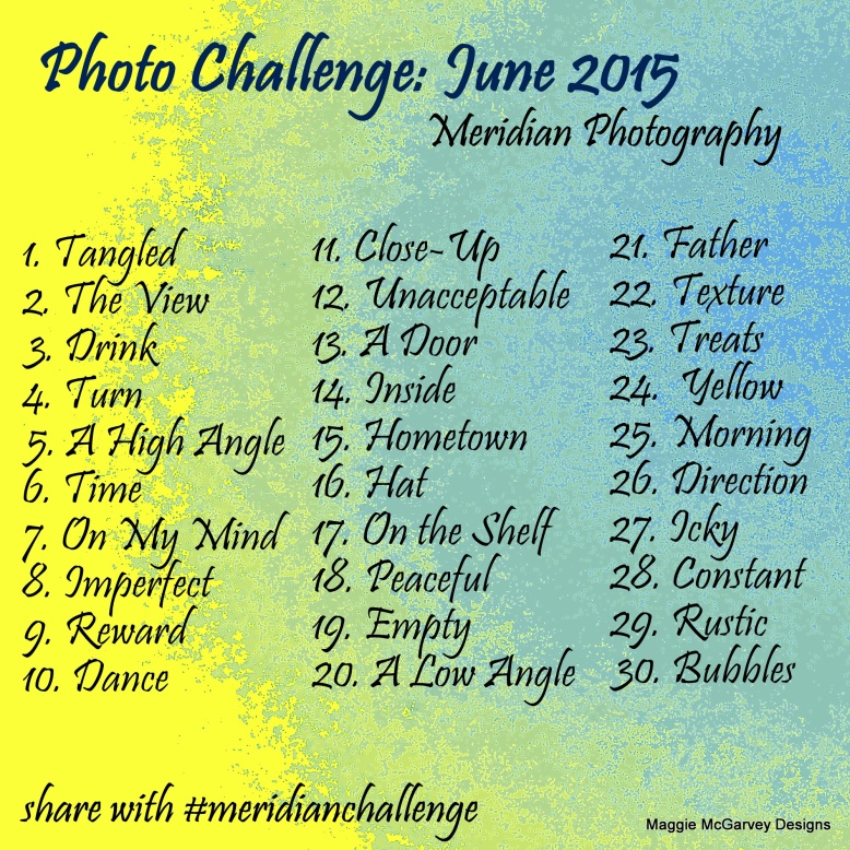 Photo Challenge June 2015