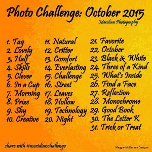 October 2015 Meridian Challenge